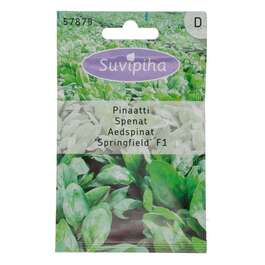 SEEMNED SUVIPIHA SPINAT SPRINGFIELD/REVERE F1 500s