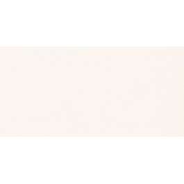 WALL TILE 29.8X59.8X0.9 WHITE MICRO STR.