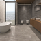 SEINAPLAAT 30X60 STONE AGE ANTHRACITE SATIN