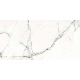 КЕРАМОГРАНИТНАЯ ПЛИТКА  59,8X119,8X0,8 MONET WHITE SAT.RECT