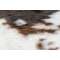 VAIP RODEO 203 150X200CM COW VAIP RODEO 203 150X200CM COW
