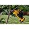 AKUOKSAKÄÄRID DEWALT DCMPP568N 18V ILMA AKUTA AKUOKSAKÄÄRID DEWALT DCMPP568N 18V ILMA AKUTA