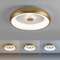 VALGUSTI VERTIGO 30W LED 3100lm D300 MESSING MATT VALGUSTI VERTIGO 30W LED 3100lm D300 MESSING MATT