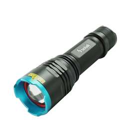TASKULAMP TECHNIK P25 LED 500lm IP45 LAETAV