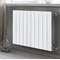 ALUM.RADIAATOR PLUS EVO 500 6 RIBI
