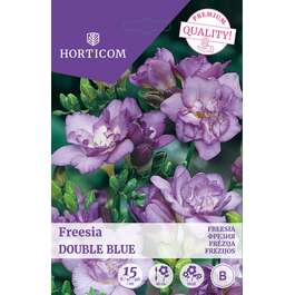 LILLESIBUL FREESIA DOUBLE BLUE/ 15tk