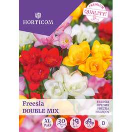 LILLESIBUL FREESIA DOUBLE MIX/ 30tk