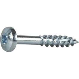 PUIDUKRUVI ESSDRIVE 6,0x40 ÜP/TX30 ZN/C1/ 10tk