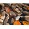 Wallpaper 581225 Rasch 24/3 Wallpaper 581225 Rasch 24/3