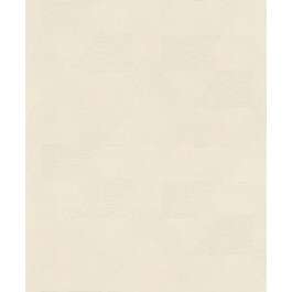 WALLPAPER  600438 RASCH 24/4
