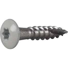 RENNIKRUVI 4,8x25 VALGE/RAL9010 TX20/A2/C4/ 20tk