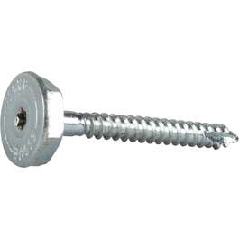 REGULEERIMISKRUVI 7,0x65 TX30/20V ZN/C1/ 2tk
