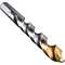 PUURIDE KOMPLEKT HSS STEP BSC TITANIUM 1-10MM 19TK PUURIDE KOMPLEKT HSS STEP BSC TITANIUM 1-10MM 19TK