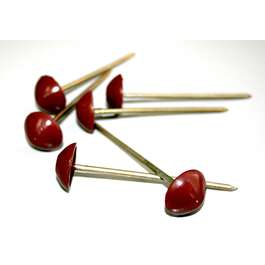 NAIL FOR BITUMEN CORRUGATED SHEET  CORRUBIT PUNANE/ 500tk