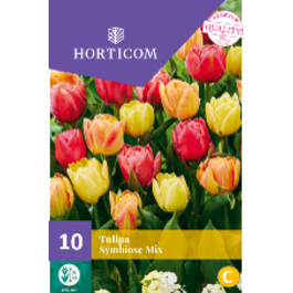 LILLESIBUL TULP SYMBIOSE MIX 10TK