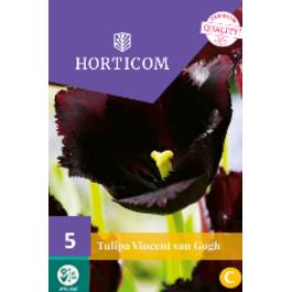 LILLESIBUL TULP VINCENT VAN GOGH 5TK