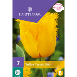 LILLESIBUL TULP CRYSTAL STAR 7TK