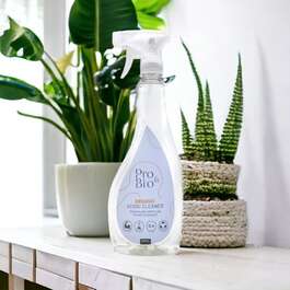 PUHASTUSVAHEND PRO&BIO ORGAANILINE 500ml