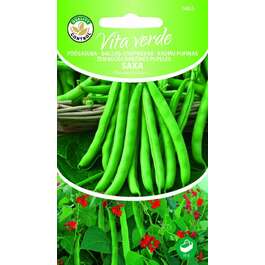 SEEMNED VITA VERDE AEDUBA SAXA