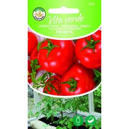 SEEMNED VITA VERDE TOMAT PROMYK