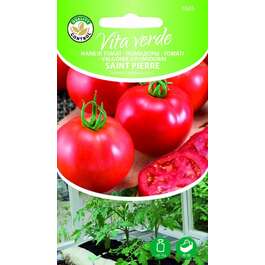 SEEMNED VITA VERDE TOMAT SAINT PIERRE