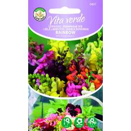 SEEMNED VITA VERDE LÕVILÕUG RAINBOW