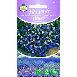 SEEMNED VITA VERDE RIPPLOBEELIA BALCONY