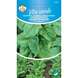 SEEMNED VITA VERDE AEDSPINAT GEANT-D-HIVER