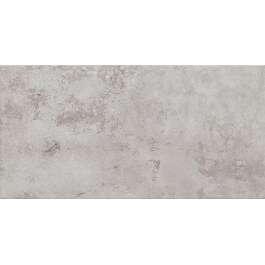 SEINÄLAATTA 29,8x59,8x1 NEUTRAALI GRAFIITTI