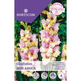 LILLESIBUL GLADIOOL MON AMOUR SUUREÕIELINE/ 5tk