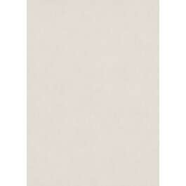 TAPEET 1047314 ERISMANN 0.53X10M 25/3