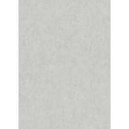 TAPEET 1047331 ERISMANN 0.53X10M 25/3