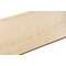 WORKTOP 600X3000X30 R5 MAPLE