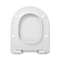 WC ISTE CEDO DELRAY BEACH SOFT-CLOSE VALGE