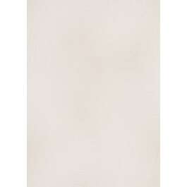 TAPEET 1040314 ERISMANN 0.53X10M 25/3