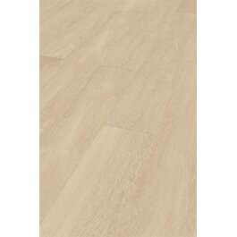 LAMINATE FLOORING  8MM ABSOLUTE TAMM KREEM 32/AC5