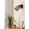 Rosley Wall and Ceiling Light Rosley Wall and Ceiling Light