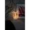 JÕULUVALGUSTI LATERN LED PRINCESS TAIMERIGA 3xAAA JÕULUVALGUSTI LATERN LED PRINCESS TAIMERIGA 3xAAA