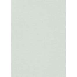 TAPEETTI 1054118 ERISMANN 0,53X10M 26/2