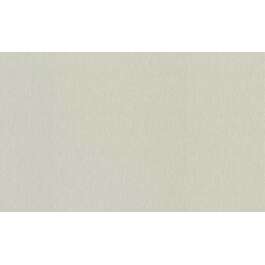 TAPEET 978438 RASCH 1.06X10M 26/3