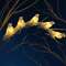 VALGUSTI SOLAR 1060842 5 LED PARTY LIGHT BIRDS VALGUSTI SOLAR 1060842 5 LED PARTY LIGHT BIRDS