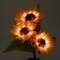 VALGUSTI SOLAR 1074634 30 LED SUNFLOWERS VALGUSTI SOLAR 1074634 30 LED SUNFLOWERS