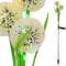 VALGUSTI SOLAR 1061528 48 LED DANDELION 78cm VALGUSTI SOLAR 1061528 48 LED DANDELION 78cm