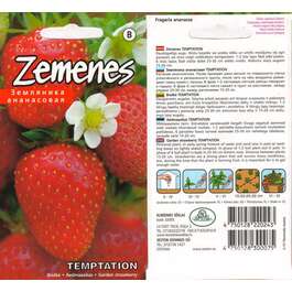 SEEMNED AEDMAASIKAS TEMPTATION