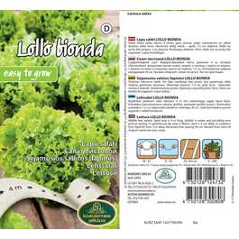 SEEMNED SALAT LOLLO BIONDA 4M LINDIL