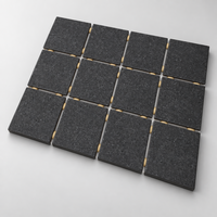 PÕRANDAPLAAT 10X10X0,75 FOSSIL BLACK (30X40) R9 PÕRANDAPLAAT 10X10X0,75 FOSSIL BLACK (30X40) R9